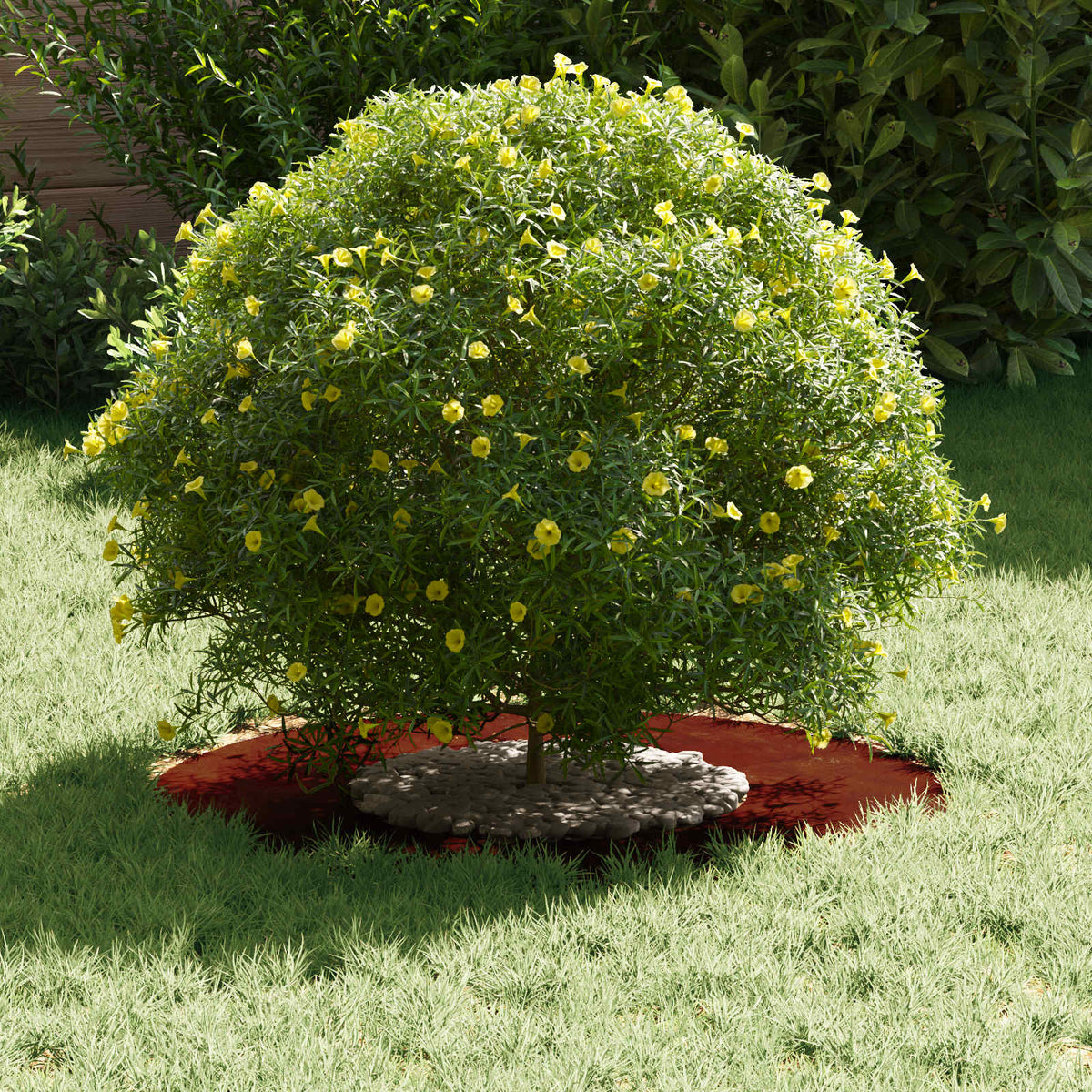 VidaXL adapté pour cerne d'arbre plat marron ø30 60 cm acier corten
