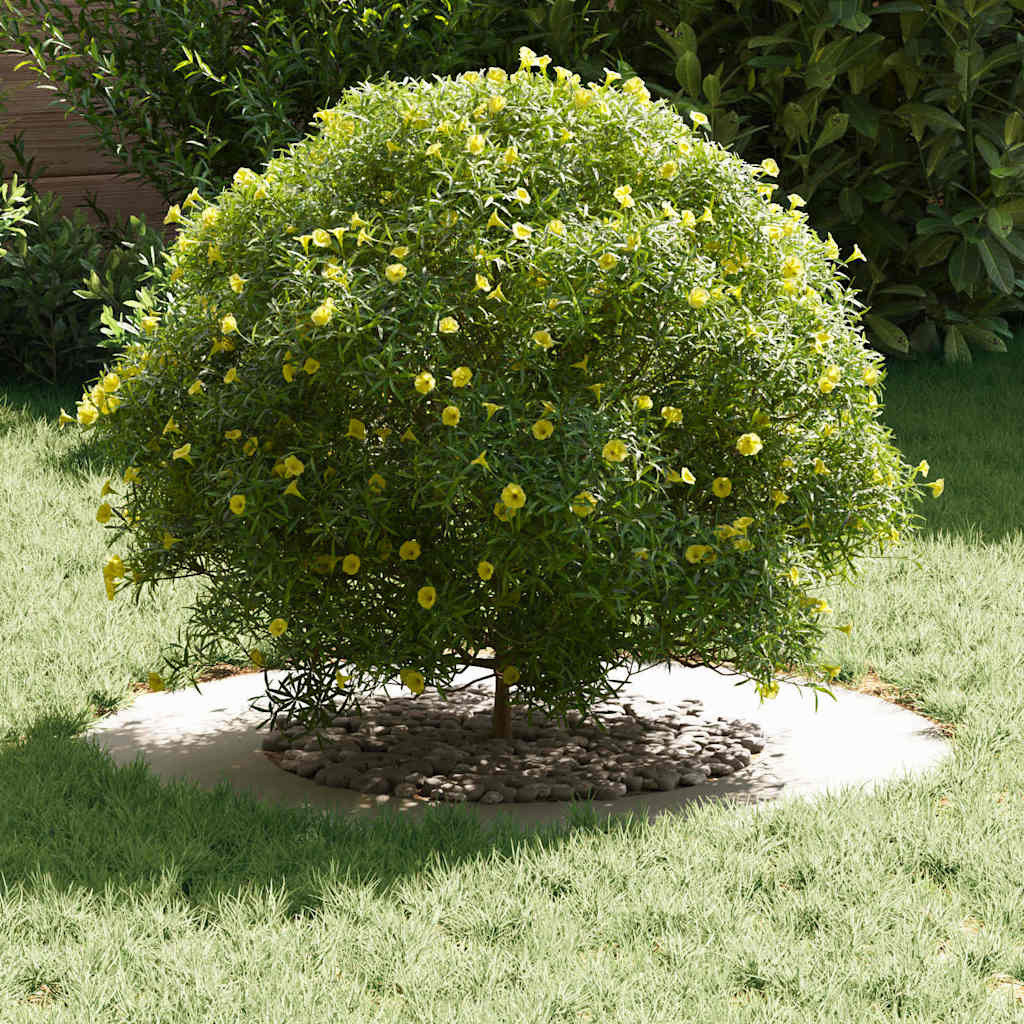 VidaXL adapté aux cernes d'arbre plats 5 pcs blanc ø40 70 cm acier