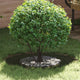 VidaXL anneau d'arbre vert olive ø40 70 cm acier laminé à froid