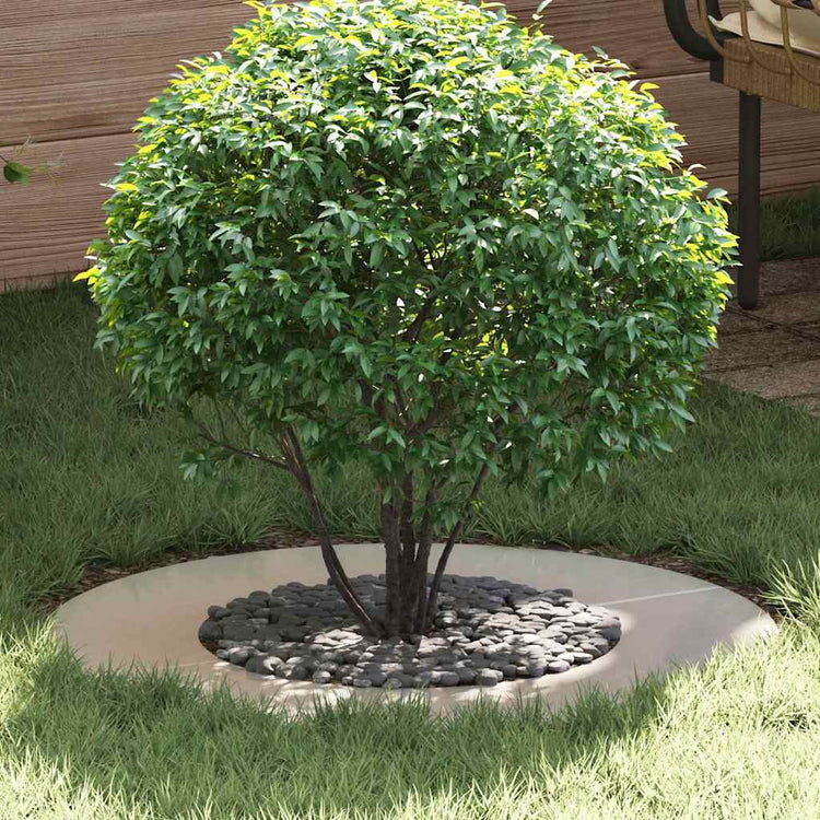 VidaXL adapté aux cernes d'arbre plats 5 pcs argent ø40 70 cm