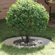 VidaXL convient pour anneau d'arbre plat argent ø40 70 cm