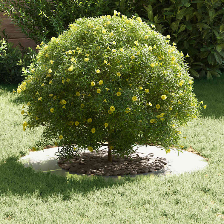 VidaXL adapté aux cernes d'arbre plats 5 pcs argent ø40 70 cm