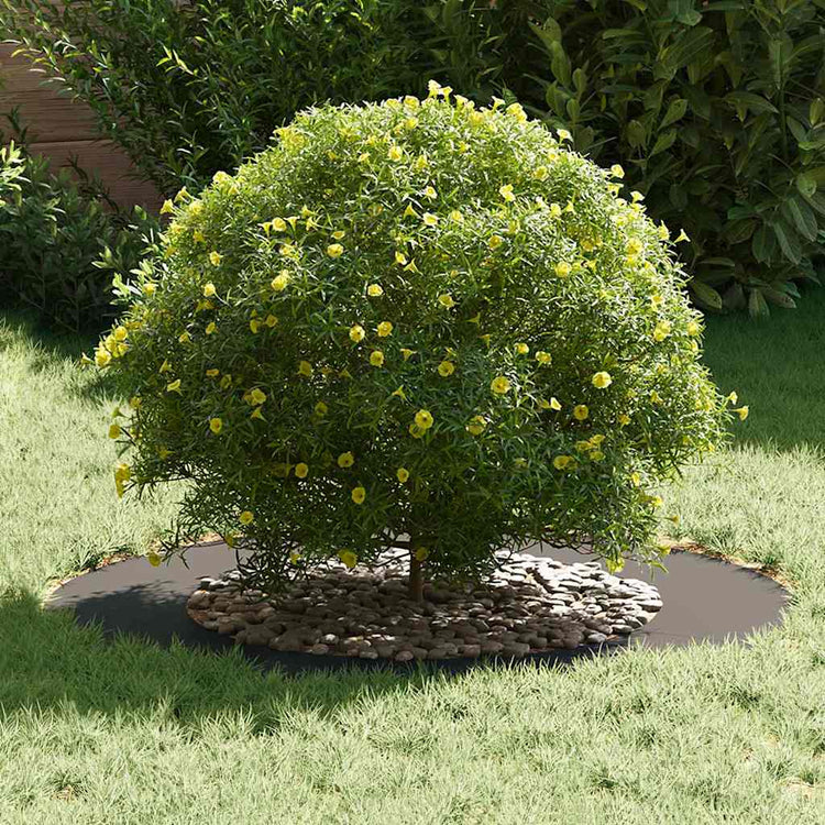 VidaXL adapté pour cerne d'arbre plat noir ø50 80 cm acier