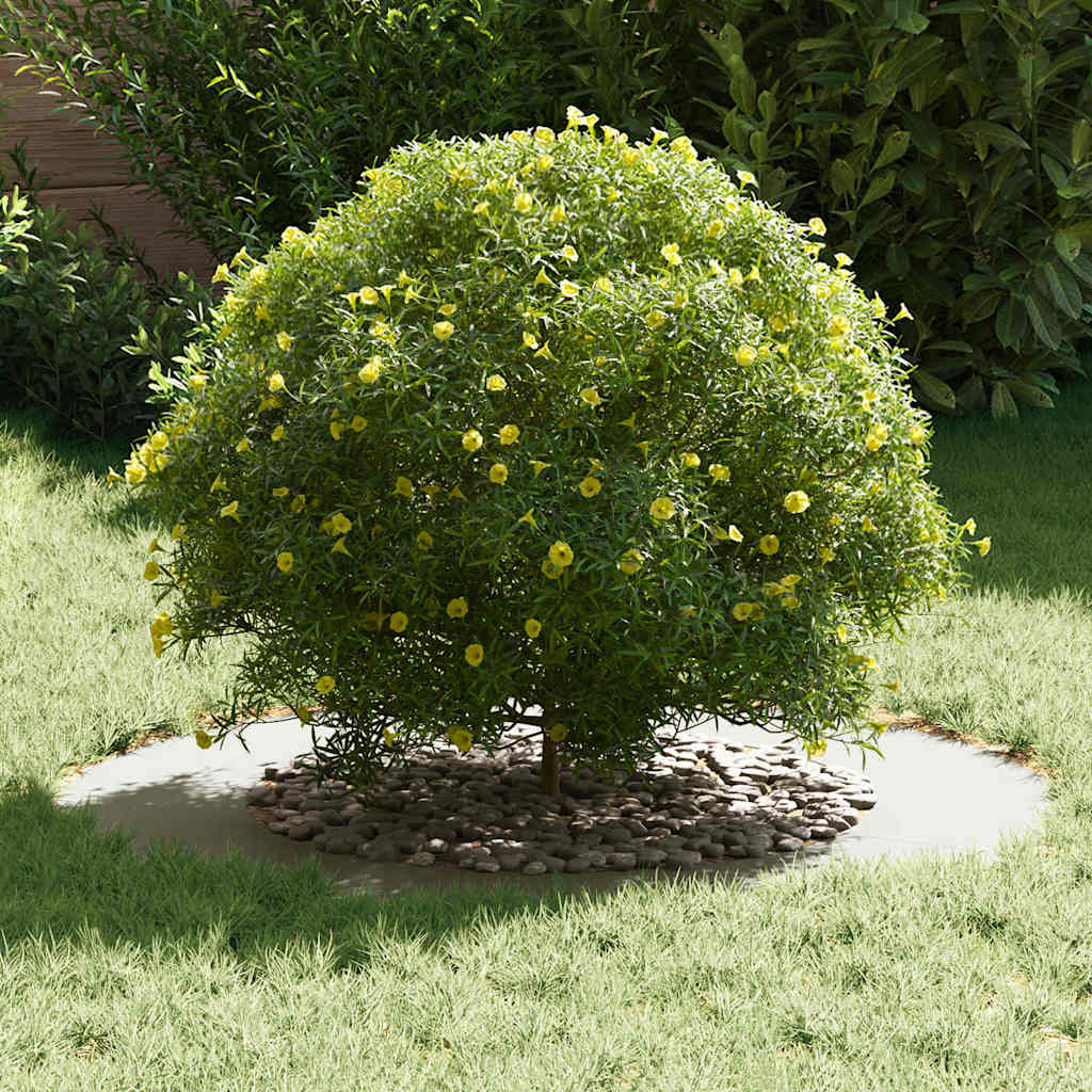 VidaXL adapté aux cernes d'arbre plats 5 pcs blanc ø50 80 cm acier