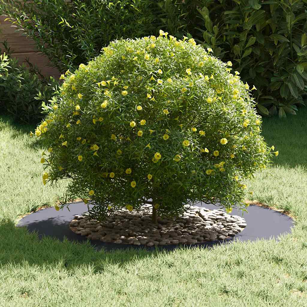 VidaXL adapté pour cerne d'arbre plat anthracite ø50 80 cm acier