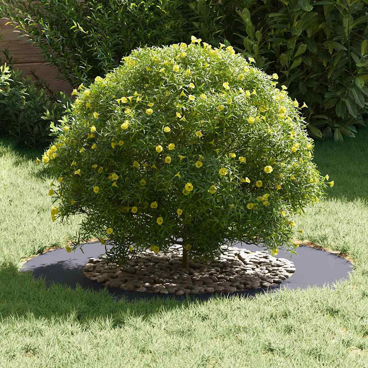 VidaXL adapté pour cerne d'arbre plat anthracite ø50 80 cm acier