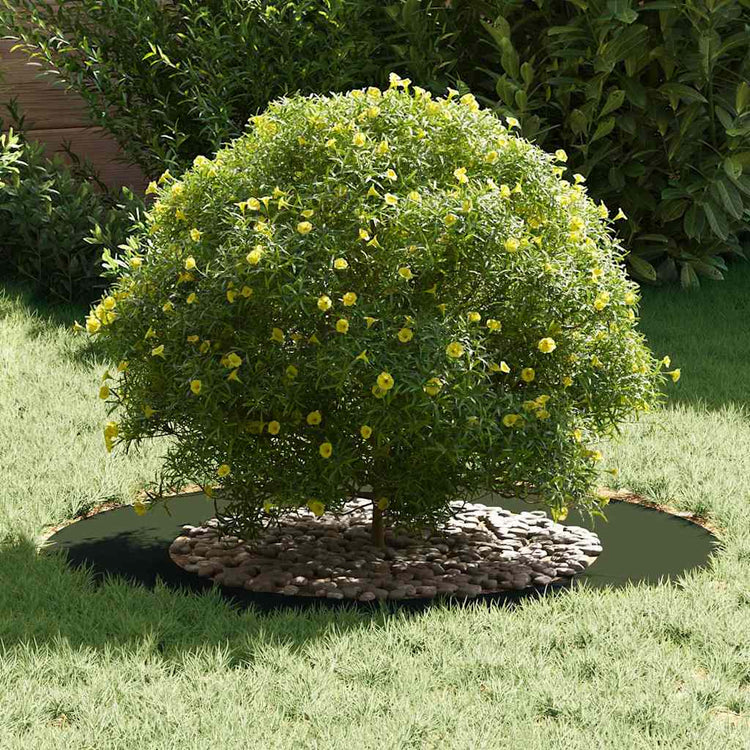 VidaXL adapté aux cernes d'arbre plats 5 pcs vert olive ø50 80 cm