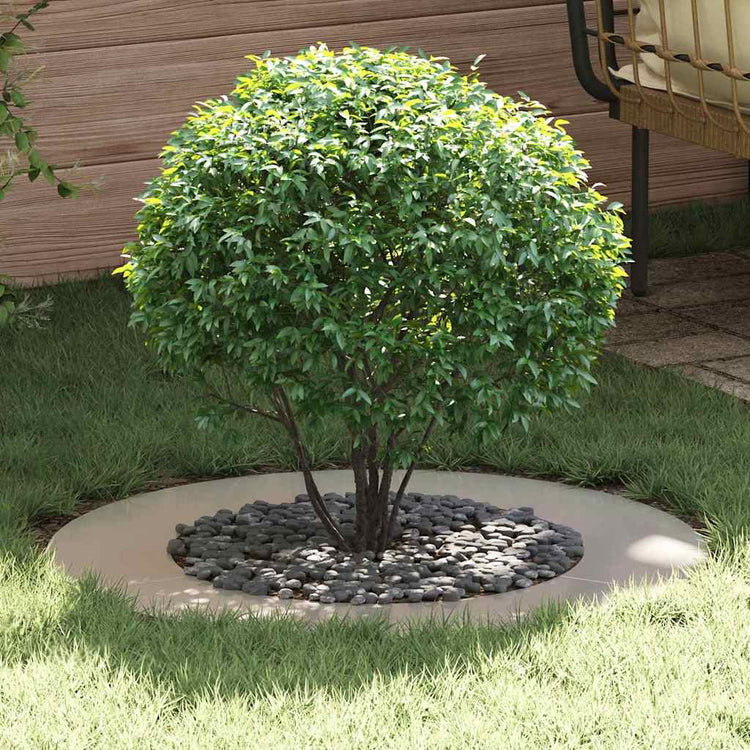VidaXL adapté pour cerceau d'arbre plat argent ø50 80 cm en acier inoxydable