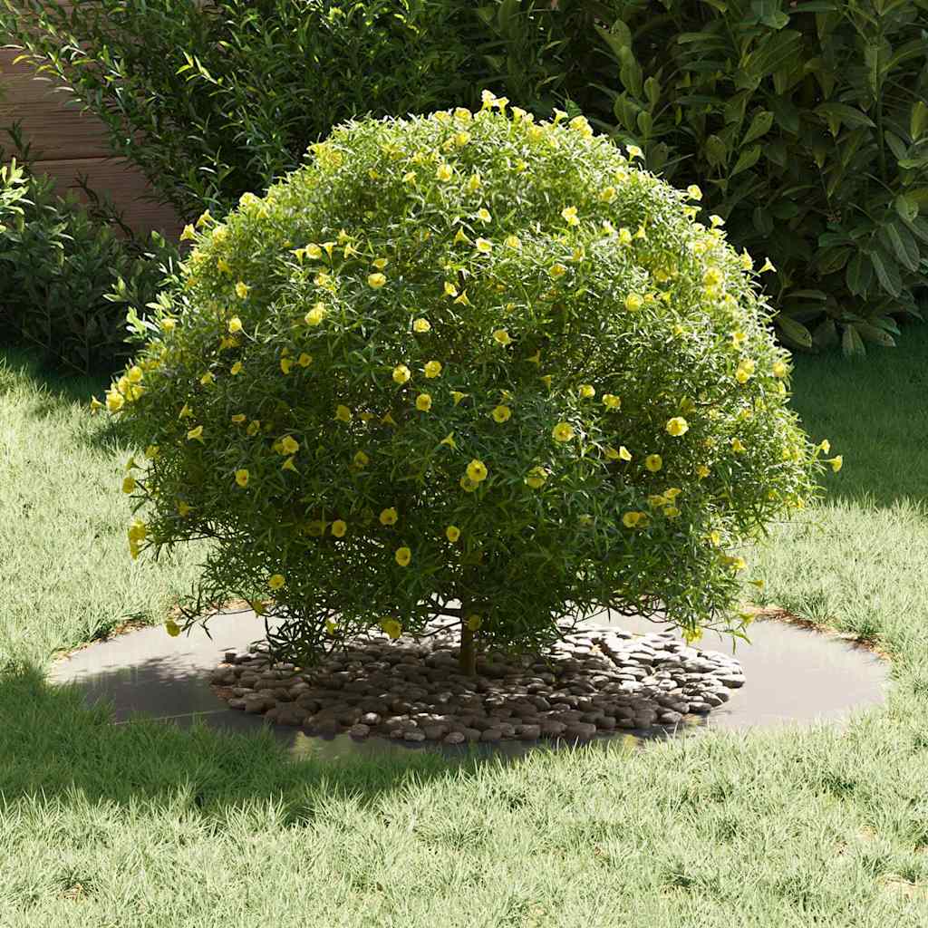 VidaXL adapté pour cerceau d'arbre plat argent ø50 80 cm en acier inoxydable