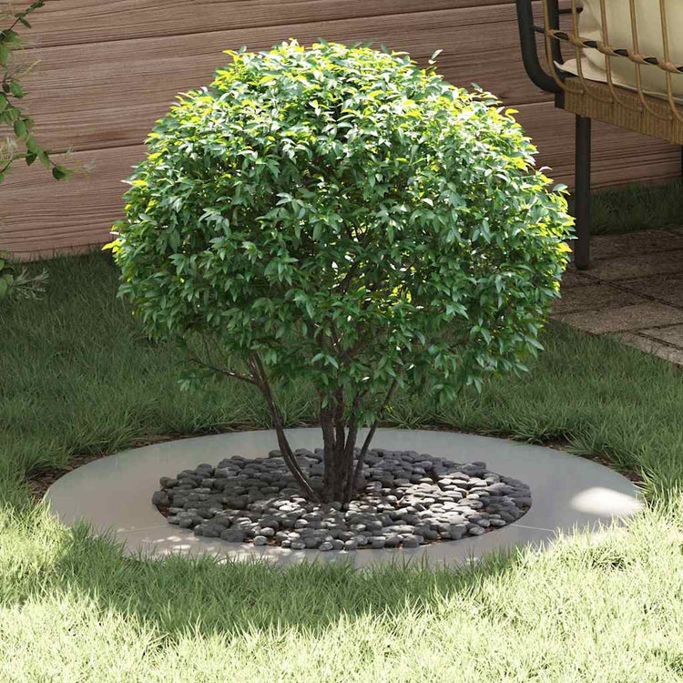 VidaXL adapté aux cernes d'arbre plats 5 pcs argent ø50 80 cm