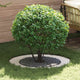 VidaXL adapté aux cernes d'arbre plats 5 pcs blanc ø60 90 cm acier