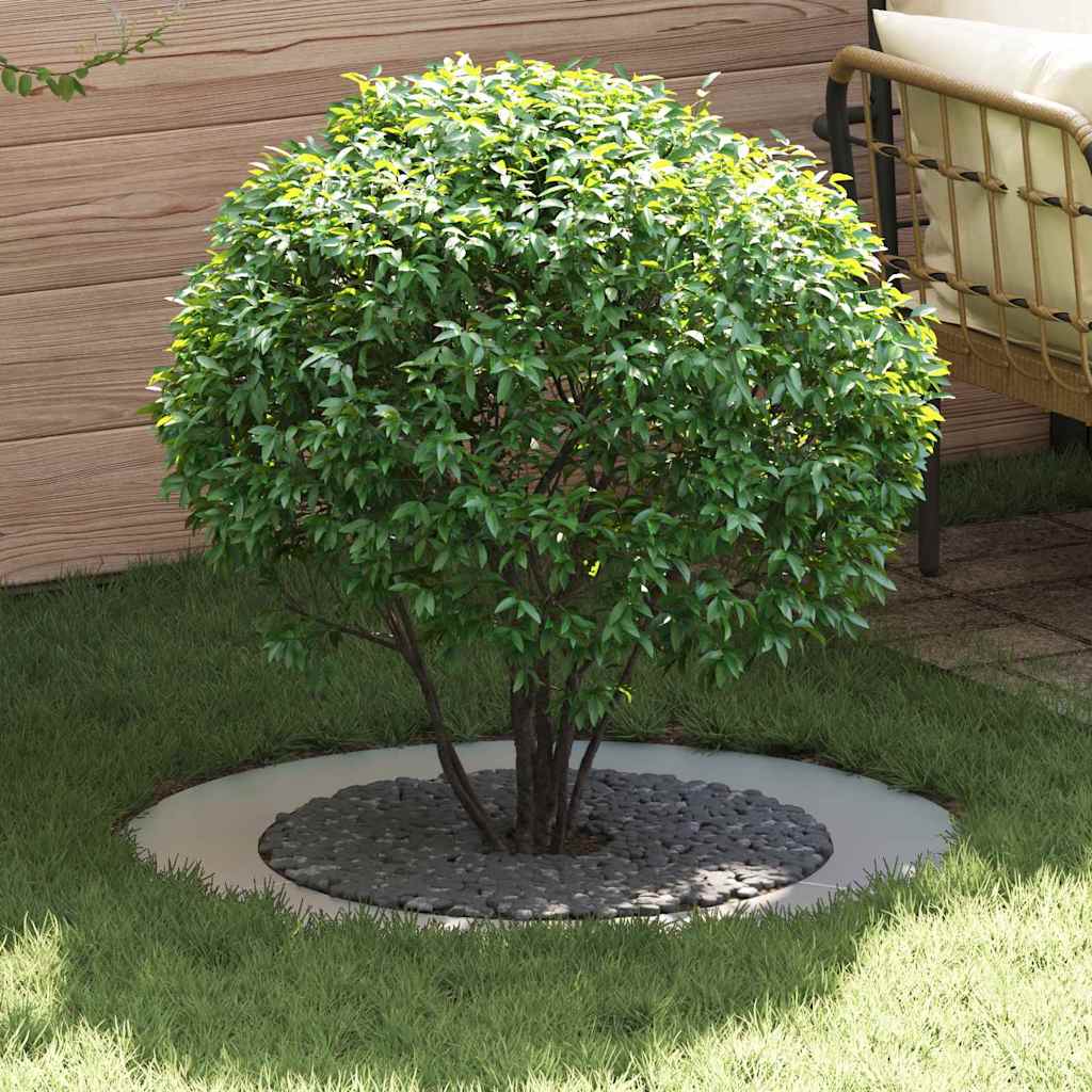 VidaXL adapté aux cernes d'arbre plats 5 pcs argent ø60 90 cm