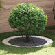 VidaXL adapté pour cerne d'arbre plat blanc ø90 120 cm acier