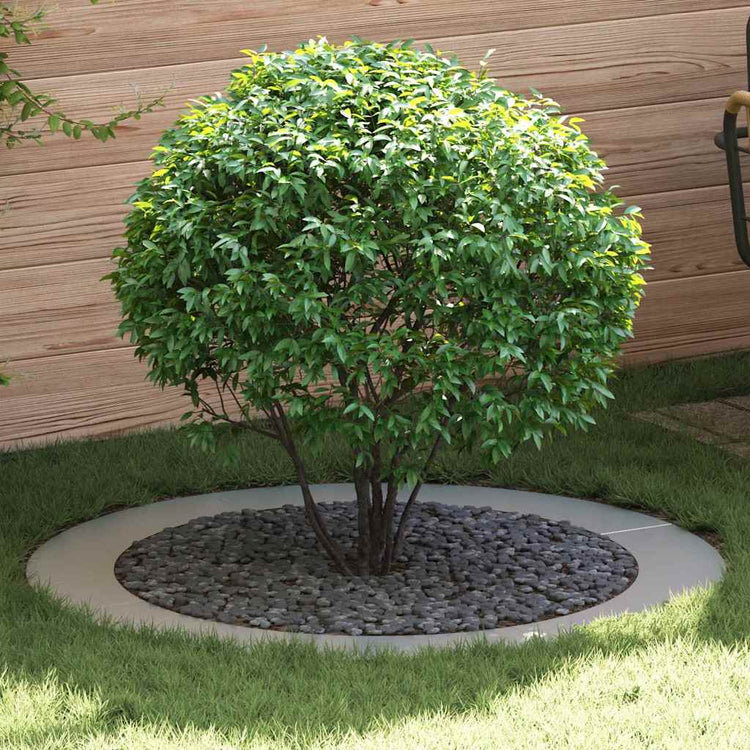 VidaXL adapté aux cernes d'arbre plats 5 pcs argent ø90 120 cm