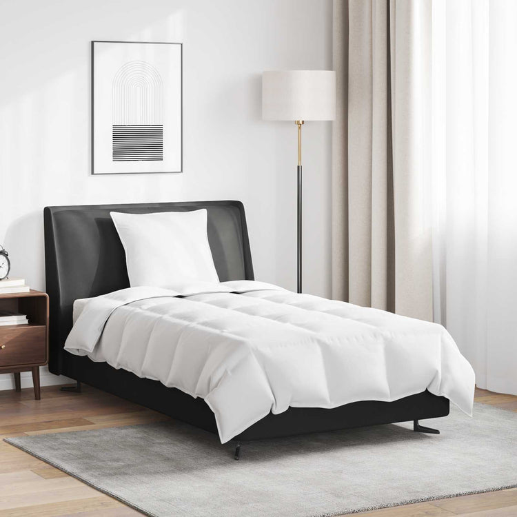 Vidaxl couette d'été avec oreiller 2 pcs plumes blanches