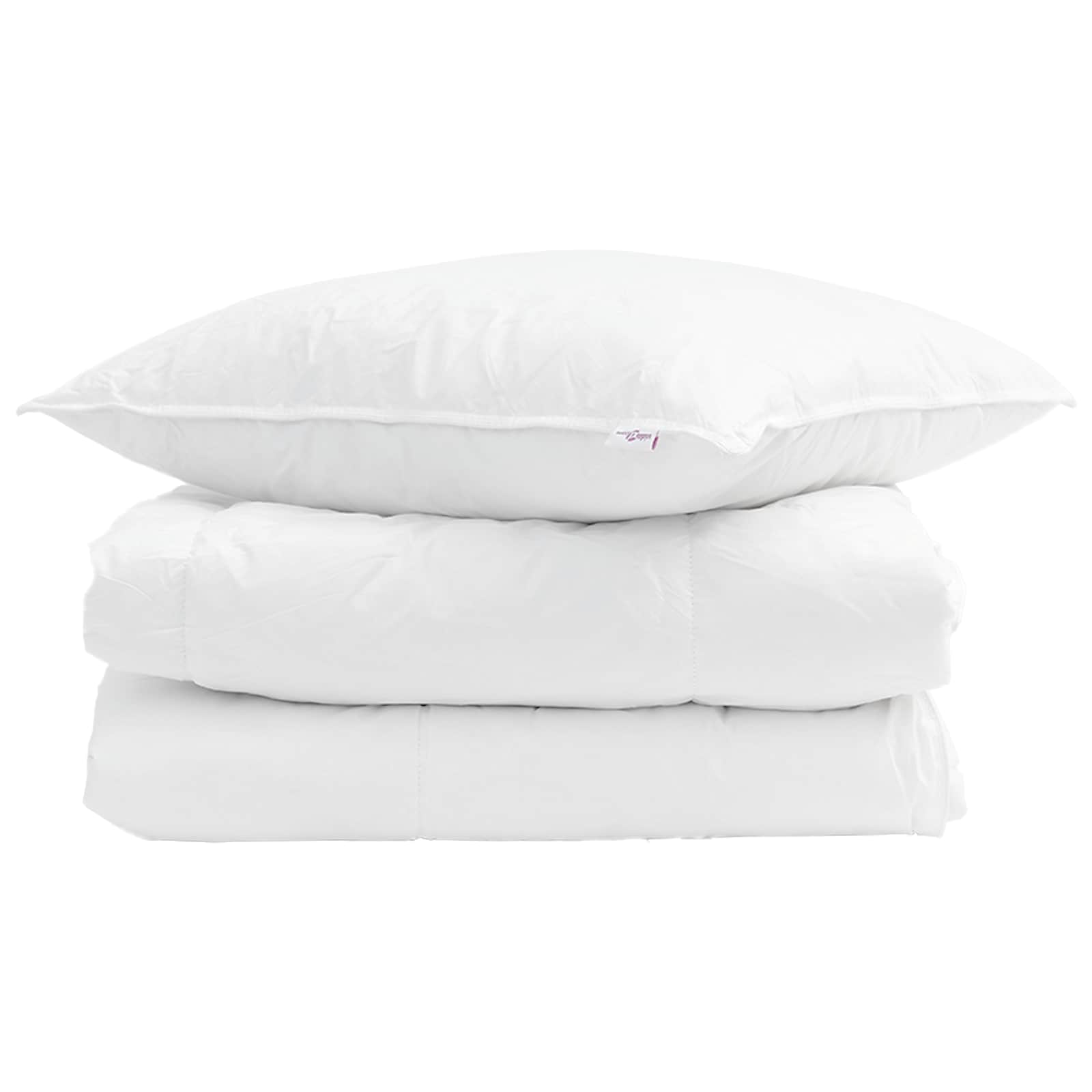 Vidaxl couette d'été avec oreiller 2 pcs plumes blanches