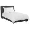 Vidaxl couette d'hiver avec oreiller 2 pcs plumes blanches
