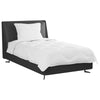 Vidaxl couette d'été avec oreiller 2 pcs microfibre blanche