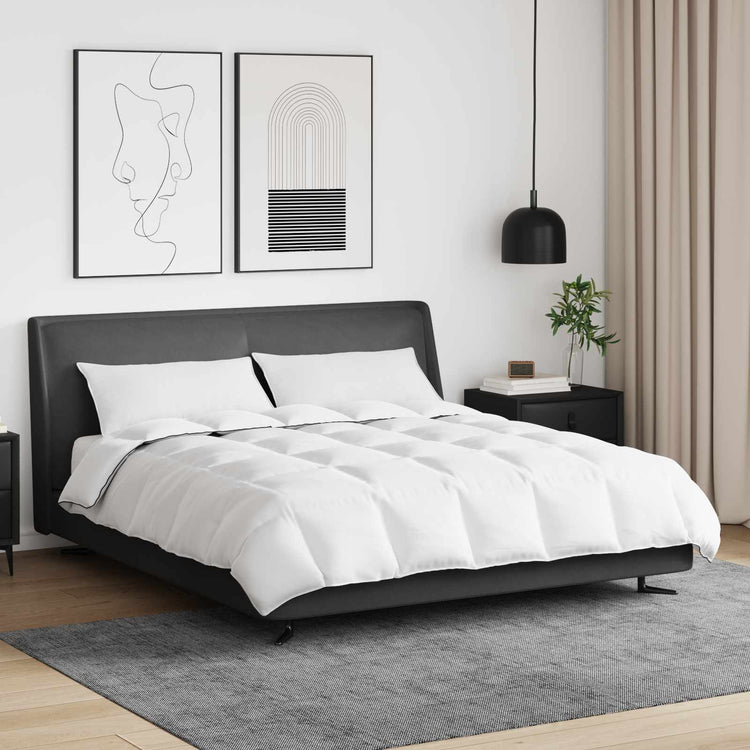 Vidaxl couette d'hiver avec oreiller 3 pcs plumes blanches