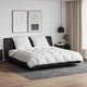 Vidaxl parure de couette avec oreiller 3 pcs plumes blanches