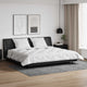 Vidaxl couette d'hiver avec oreiller 3 pcs microfibre blanche