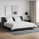 Vidaxx couette avec oreillers avec oreiller 3 pcs microfibre blanche