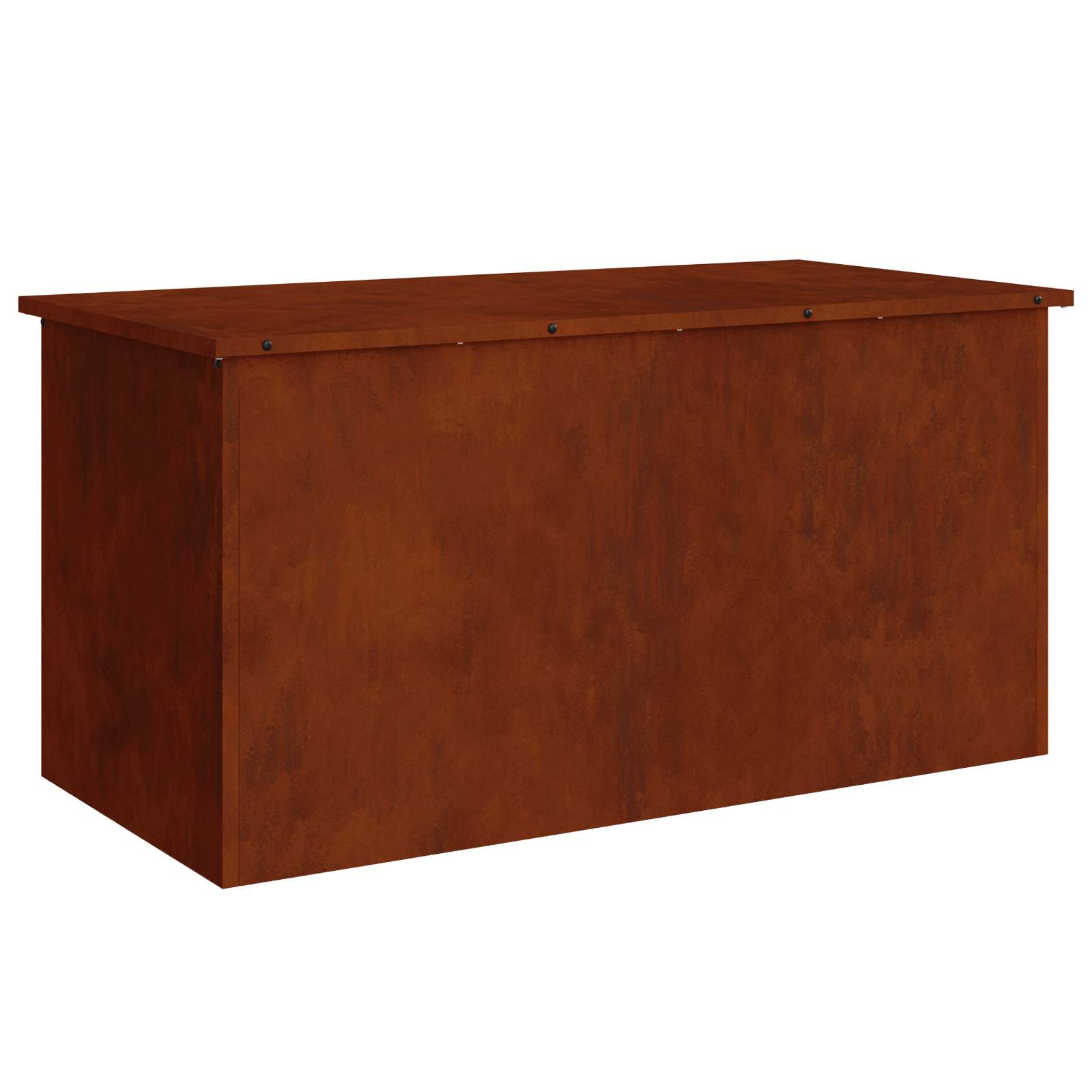 Vidaxx boîte de rangement extérieure rouillé 100 x 50,5 x 50 cm acier