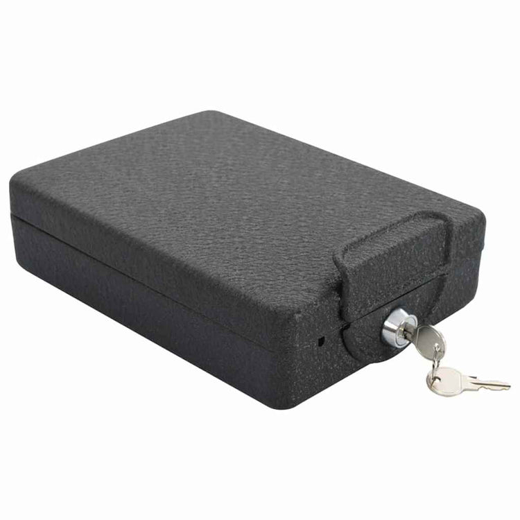 Vidaxxl coffre-fort de voiture avec serrure noir 22 x 16 x 7 cm acier
