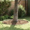 Vidaxx bordure de jardin argent 450 x 0,05 x 15 cm en acier inoxydable