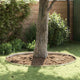 Vidaxx bordure de jardin argent 450 x 0,05 x 15 cm en acier inoxydable
