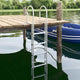 Vidaxx Escalier de port 4 marches argent 45 ×11,5 ×162 cm aluminium