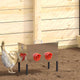 VidaXL mangeoire à poulets 2 pcs argent 41,5 x 20,5 x 33 cm