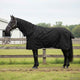 Vidaxx couverture pour cheval vert foncé et noir 125 cm polyester
