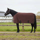 VidaXL couverture pour cheval entièrement en polyester marron foncé