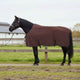 VidaXL couverture pour cheval entièrement en polyester marron foncé