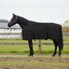 Vidaxxl couverture cheval noir polyester