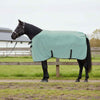 VidaXL couverture cheval spécial vert polyester