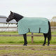 VidaXL couverture cheval spécial vert polyester