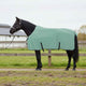 VidaXL couverture cheval spécial vert polyester