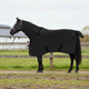 Vidaxxl couverture cheval noir polyester