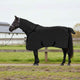 Vidaxxl couverture cheval noir polyester