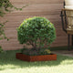 Vidaxl bordure de jardin rouillée 40 x 40 x 13 cm acier corten