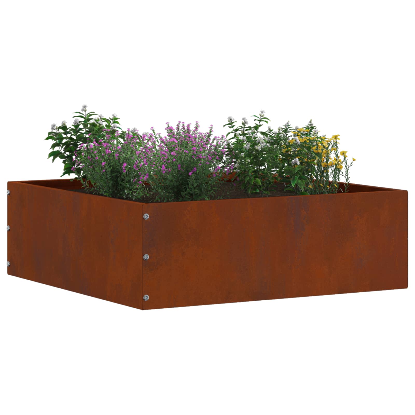 Vidaxl bordure de jardin 6 pcs rouillé 40 x 40 x 13 cm acier corten