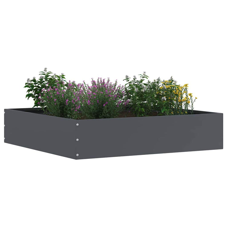 Vidaxl bordure de jardin anthracite 60 x 60 x 13 cm acier