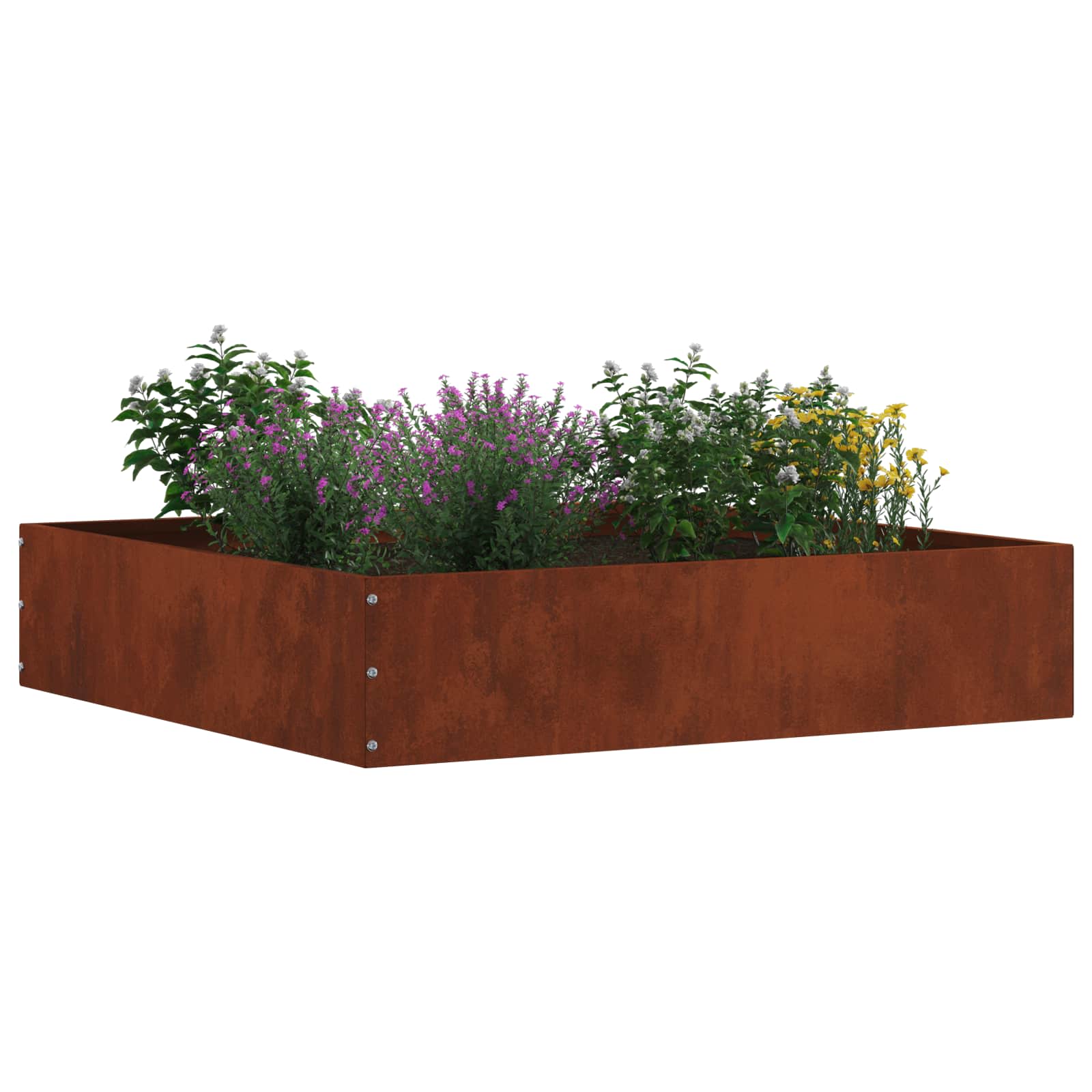 Vidaxl bordure de jardin 6 pcs rouillé 60 x 60 x 13 cm acier corten