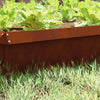 Vidaxl portail escargot 16 pcs rouillé 100 x 3,5 x 25 cm acier corten
