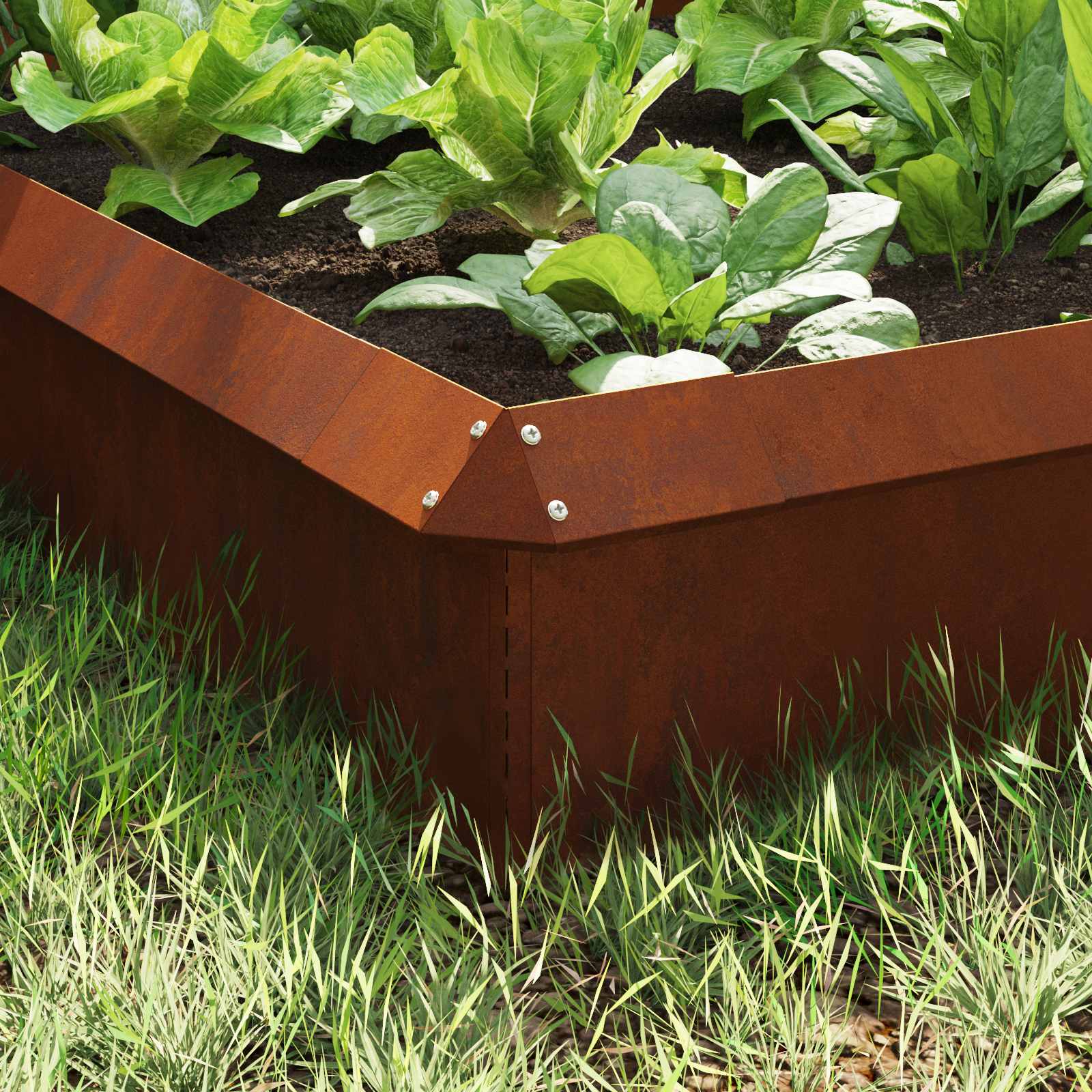 Vidaxl clôtures anti-escargots 8 pcs acier corten rouillé