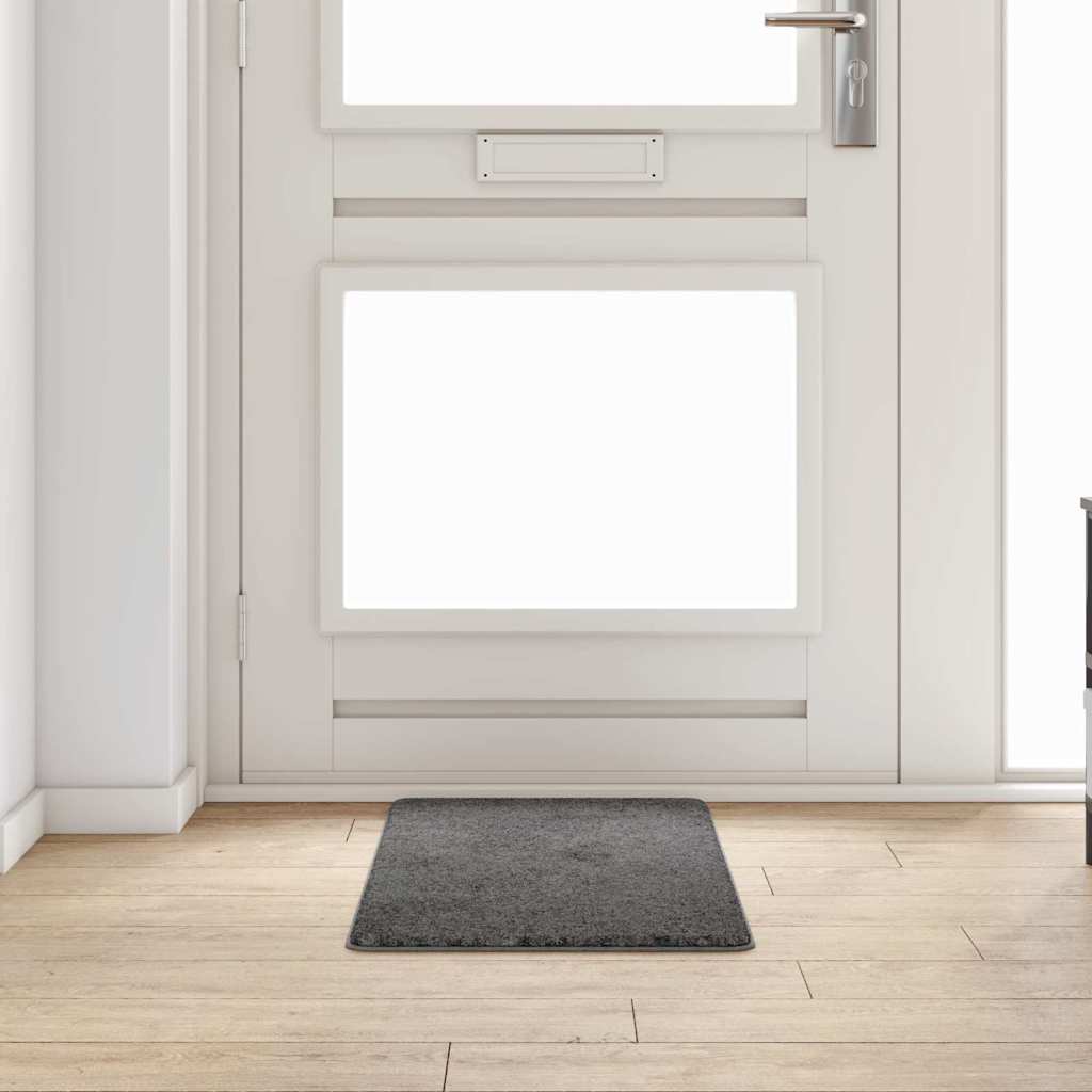 Vidaxx tapis de passage gris 50 x 100 cm 100% polypropylène touffe