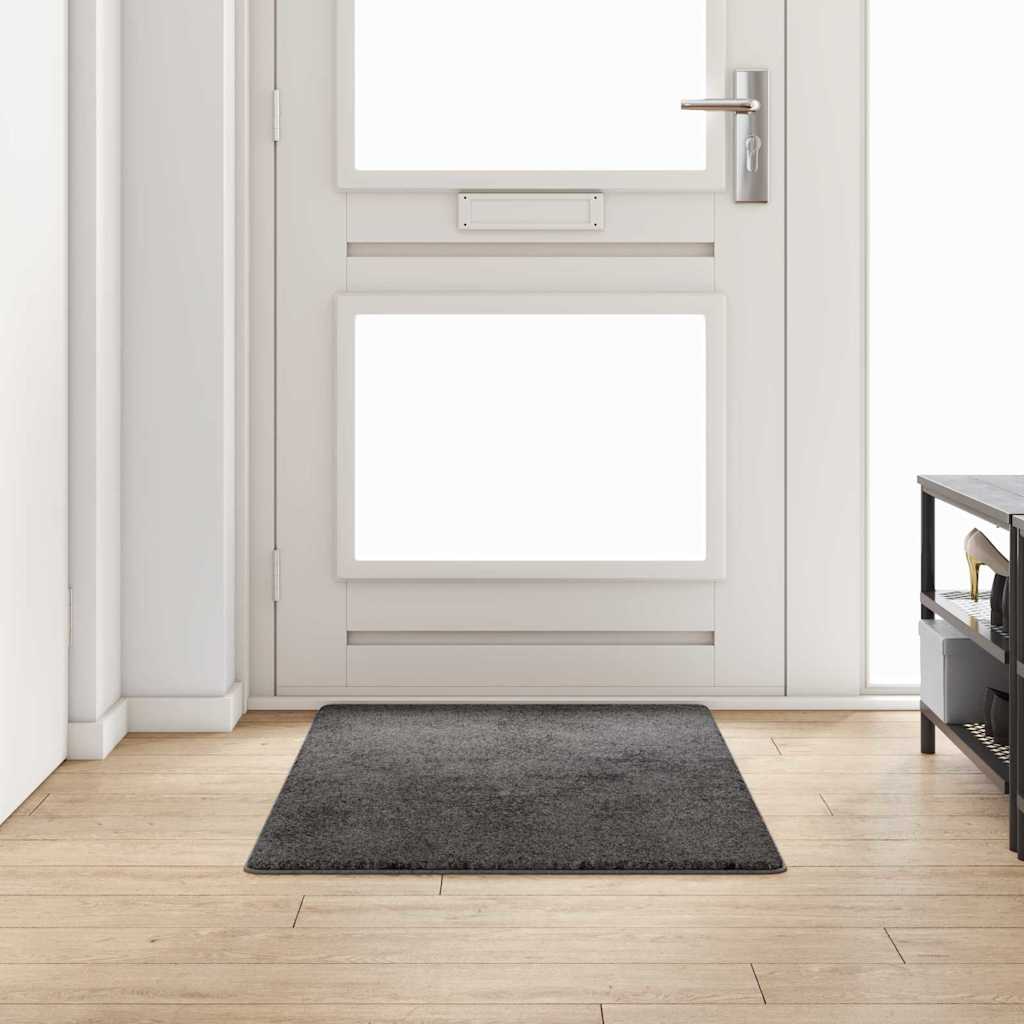 Vidaxx tapis de passage gris 80 x 150 cm 100% polypropylène touffe