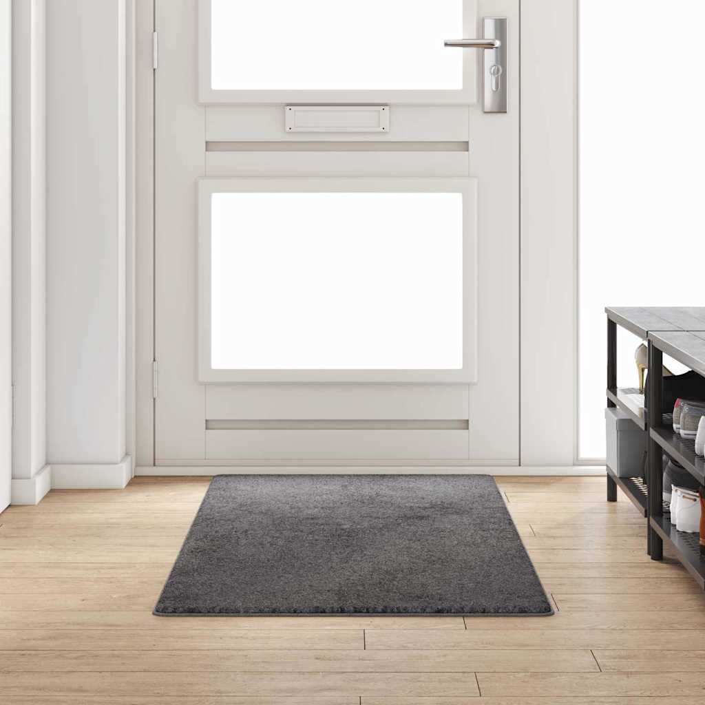 Vidaxx tapis de passage gris 80 x 200 cm 100% polypropylène touffe